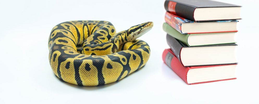 Python词典:如何使用它编写更好的代码