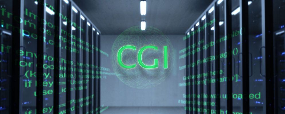 什么是CGI脚本,它们如何改善网站?