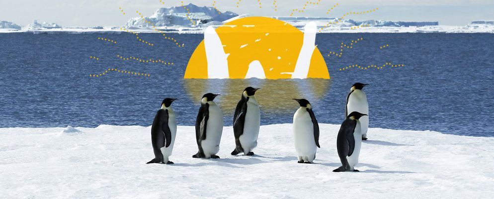 将Linux与Wayland一起使用？您需要知道的