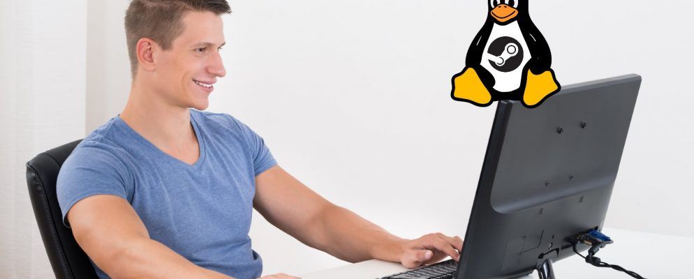 您可以在Linux上玩的10大免费Steam游戏