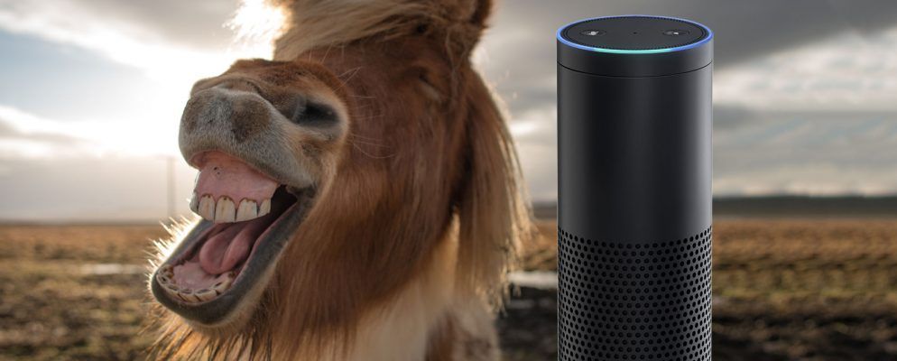 您可以问Alexa的最有趣的问题