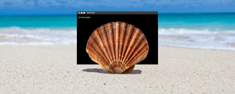 什么是Shell脚本以及为什么要使用它