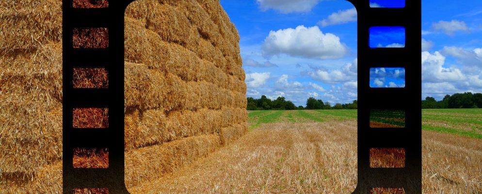 使用Photoshop模拟数字照片中的胶片质量