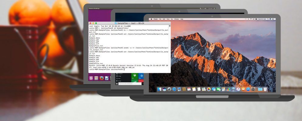 如何在Windows，Mac和Linux上将命令行输出保存到文件