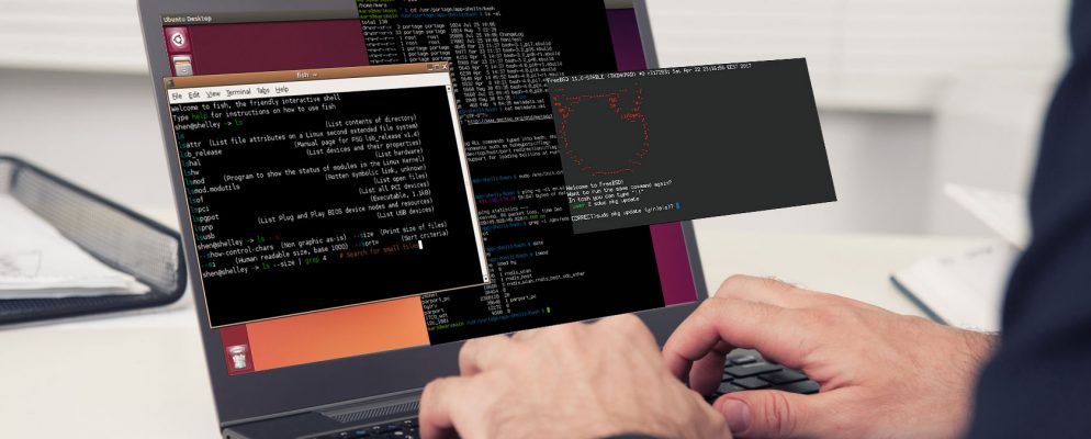 这5个Linux Shell中哪一个最好?