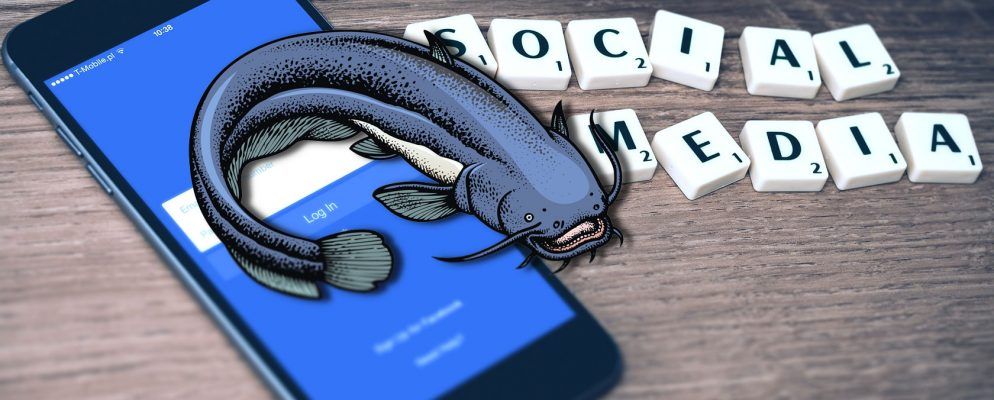 6条安全提示,保护您的孩子免受Cat鱼和其他在线威胁