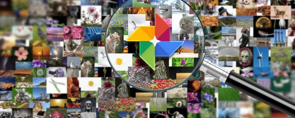 如何在Google相册中查找照片和整理图像