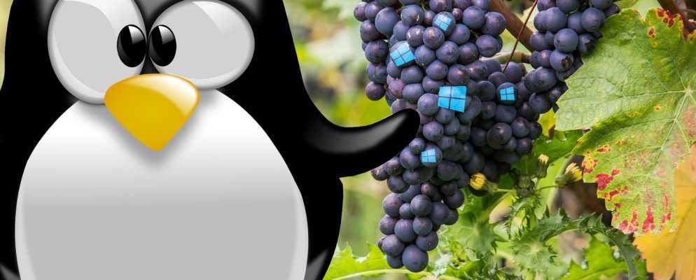如何使用Vineyard在Linux上运行Windows应用