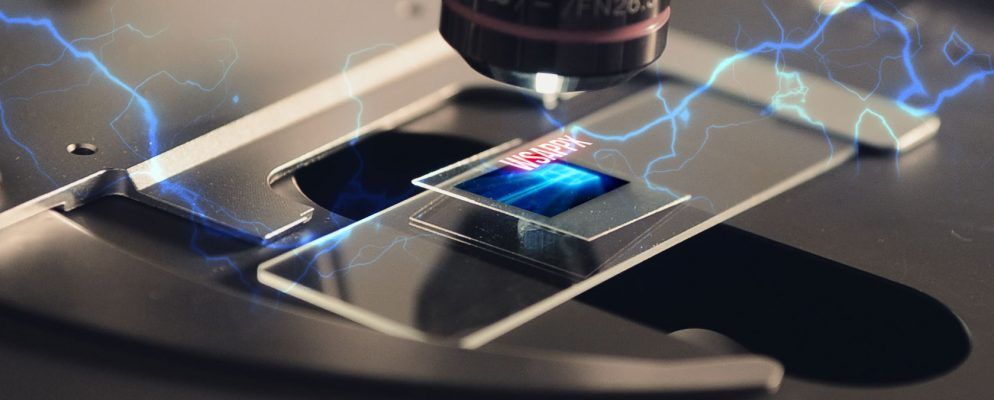 什么是WSAPPX？为什么在Windows 10中会导致较高的磁盘和CPU使用率？