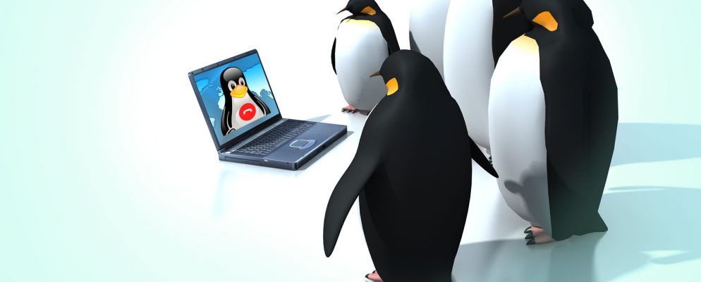 Skype的4种Linux VOIP替代品