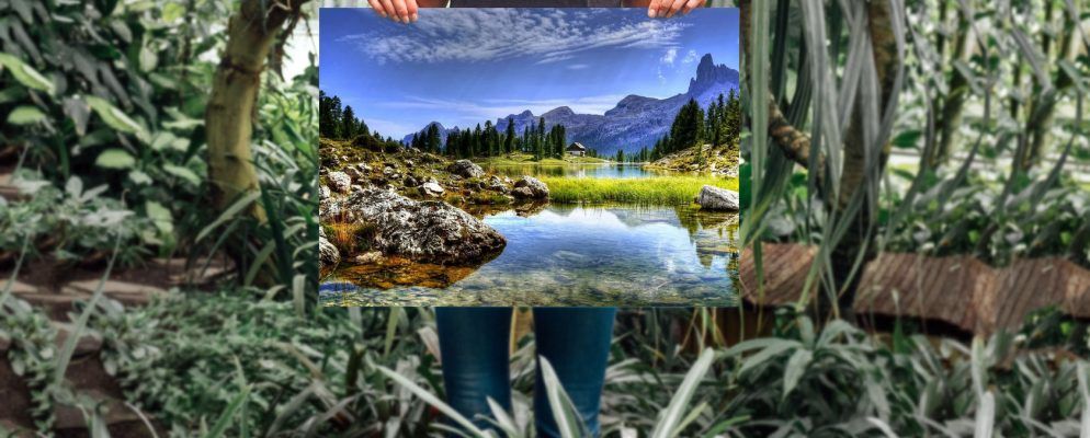 像专业人士一样打印照片:在线或在家中获得高质量的照片