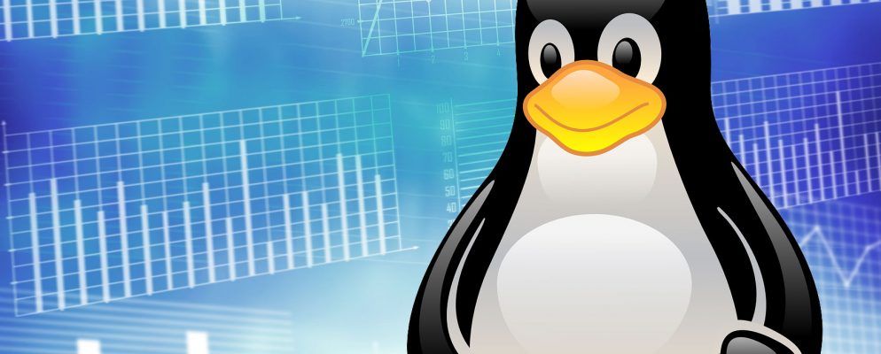 Windows与Linux的真实市场份额比较