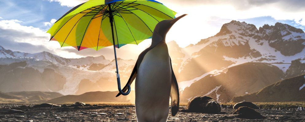 从Linux桌面查看天气的10种方法