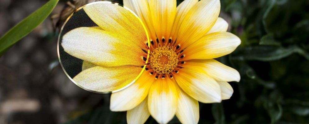 如何每次拍摄完美无噪的照片