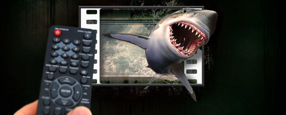 鲨鱼周最佳观赏鲨鱼电影