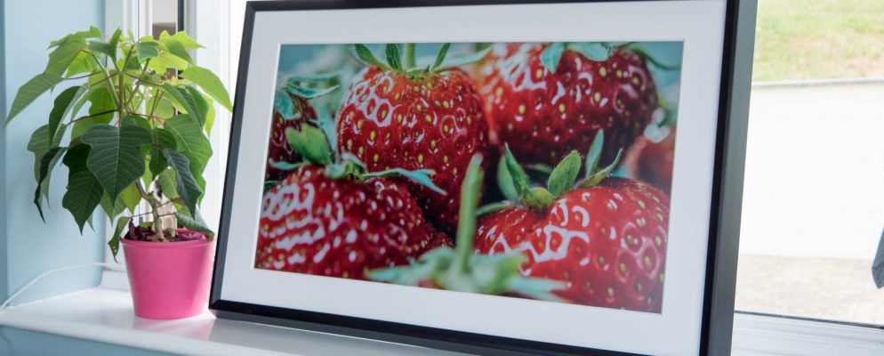 壁画:艺术爱好者的数码相框(回顾和赠品)