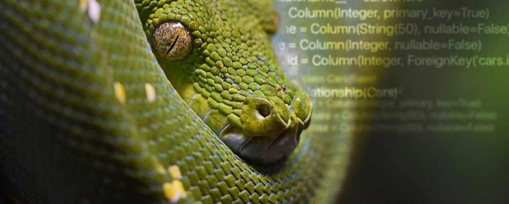 您需要了解的有关Python和对象关系映射的所有信息