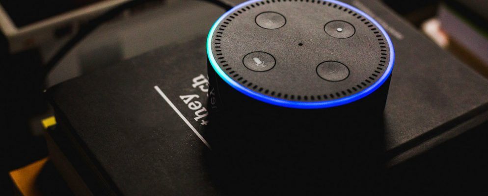 音乐爱好者的最佳回音点扬声器