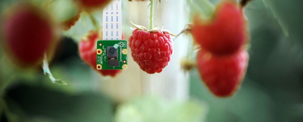 如何设置Raspberry Pi相机模块