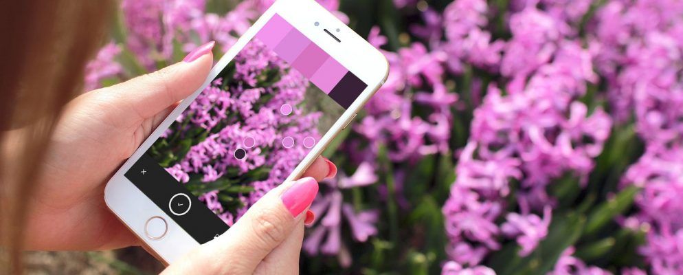 如何使用Adobe Capture进行现实生活元素设计