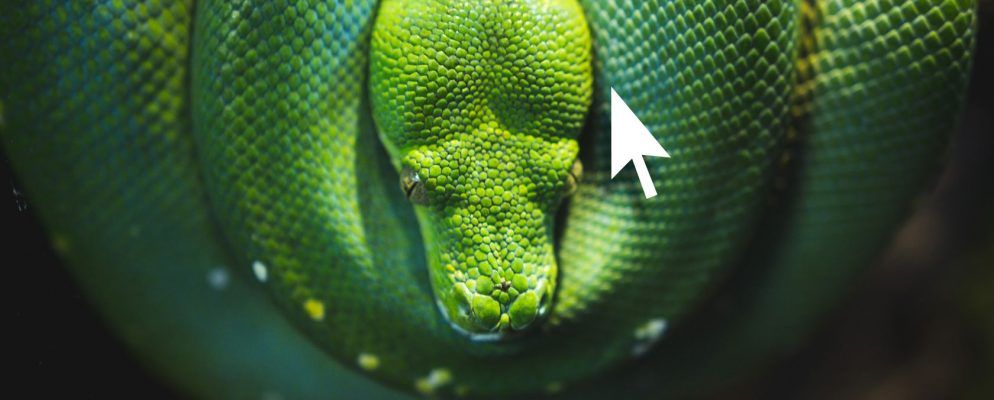 如何使用Click在Python中创建自己的命令行程序