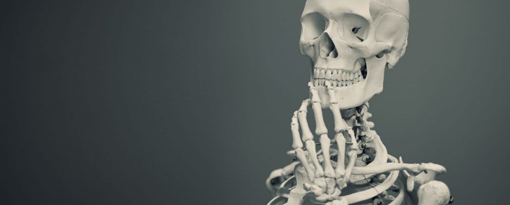 你有多蠢？ 5脑训练和分析应用程序以检查您的思想