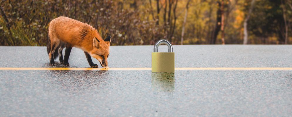 Firefox的最佳免费VPN