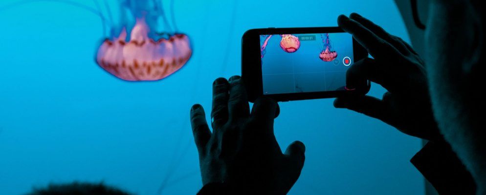 7种视频质量增强器，可改善视频的低分辨率