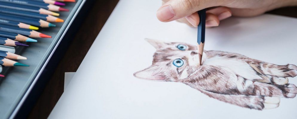 适用于Illustrator的7种基本工具，软件和服务