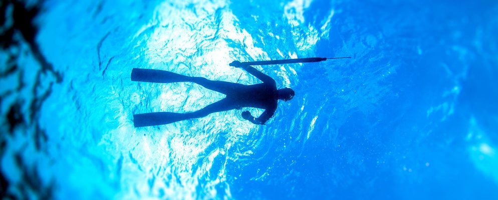 什么是鱼叉式网络钓鱼?如何发现和避免此电子邮件欺诈