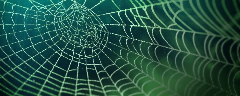 使用此免费指南安全地浏览黑暗的网络