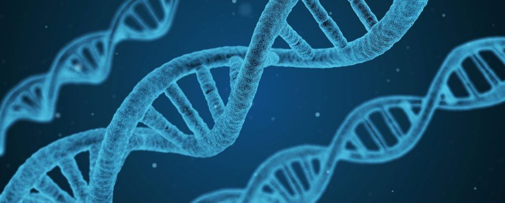 23andMe与AncestryDNA:哪种DNA测试服务最适合您?