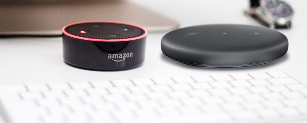 Amazon Echo Input与Echo Dot:扬声器还是无扬声器?