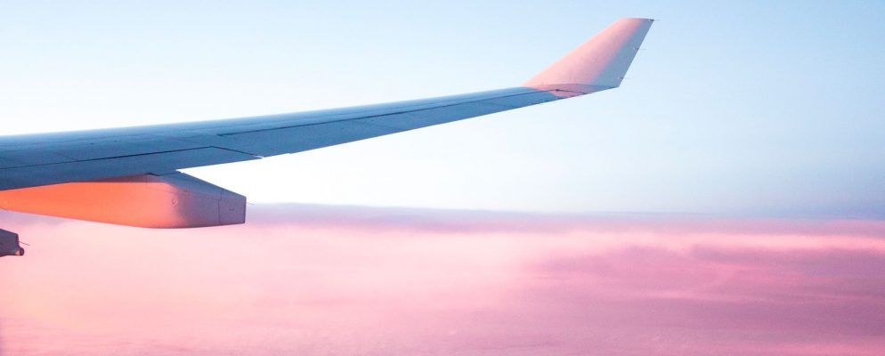 如何使用猕猴桃找到便宜的国际航班