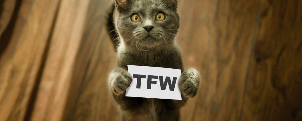 TFW是什么意思? TFW首字母缩写词解释