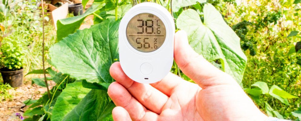 带有Govee Wi-Fi温湿度监控器的植物不再存在