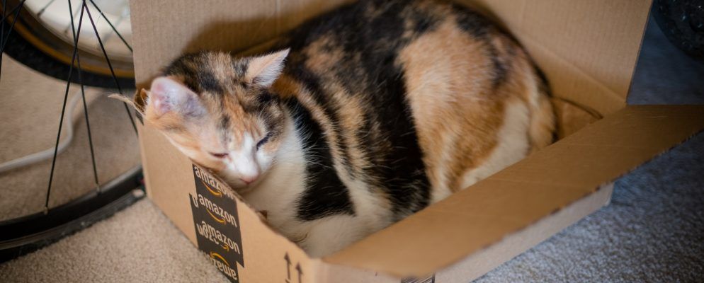 亚马逊现在将向慈善机构捐赠不需要的物品