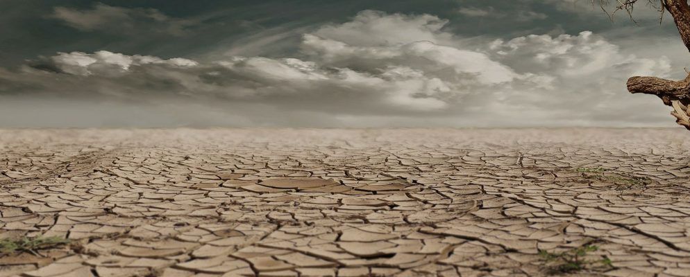 5种了解和应对全球变暖的气候变化工具