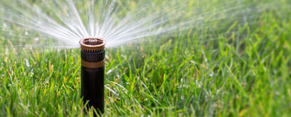 节省水和现金的5种最佳智能洒水系统