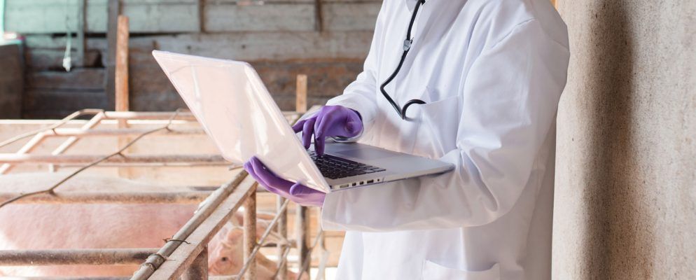 如何安全清理受感染的计算机并复制文件