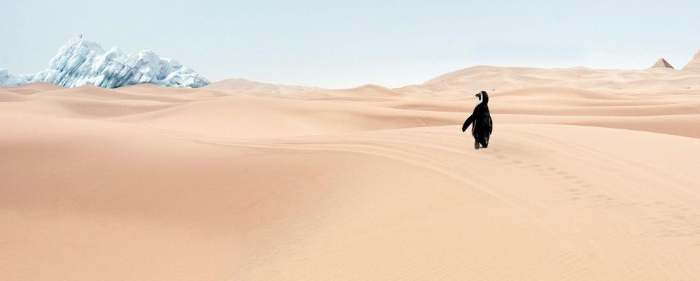 这8个站点有助于可视化气候变化的恐怖