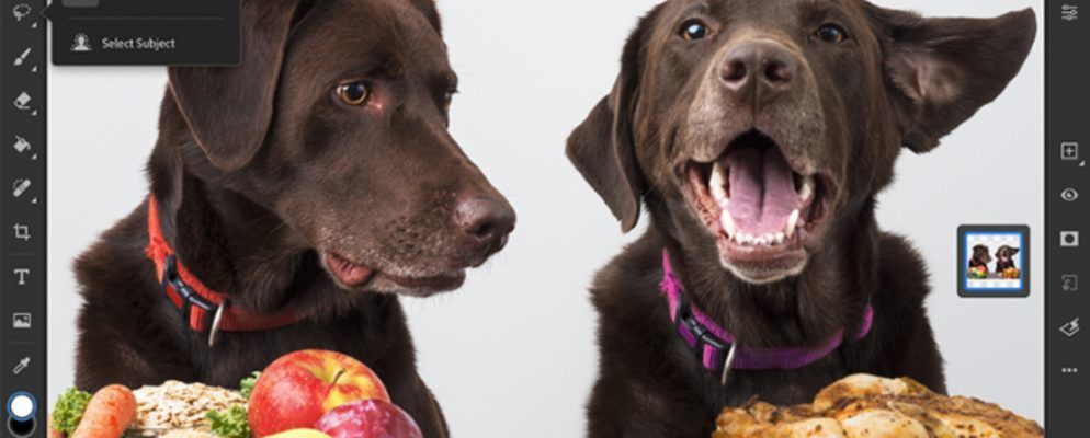 iPad的Photoshop添加了“选择主题”工具