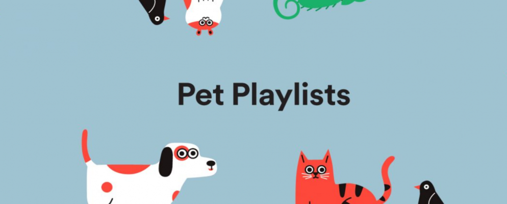 您现在可以为宠物制作Spotify播放列表
