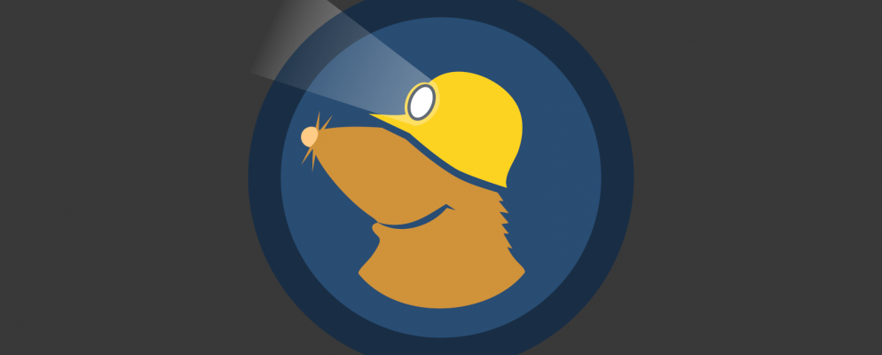 Mullvad VPN评论:前沿和复杂