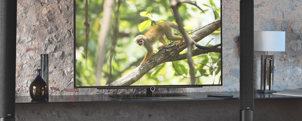 在Netflix上观看的10部最佳自然纪录片