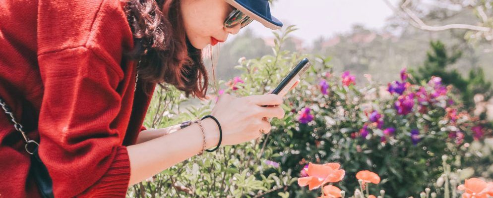 适用于Android和iOS的最佳手机园艺游戏