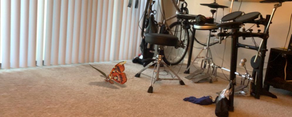 Google AR将3D昆虫添加到其搜索结果中