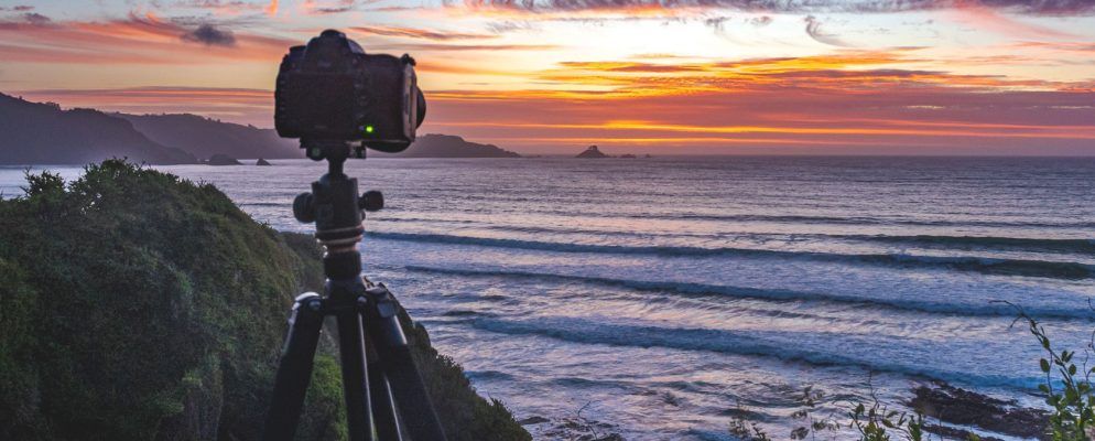 售价在$ 200美元以下的8个最佳流体云台三脚架