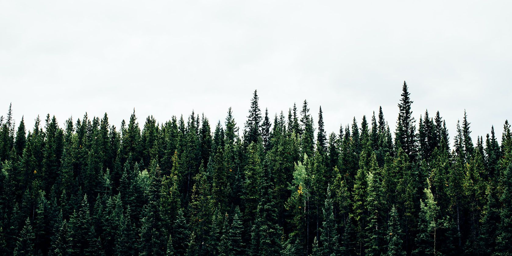 内置 iPhone 存储与 iCloud 存储:哪个更环保?