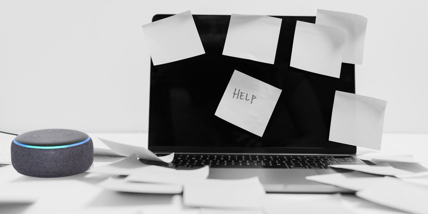 如何使用 Alexa 在紧急情况下获得帮助